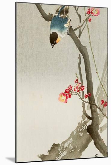 Blue Bird on a Plum Tree-Koson Ohara-Mounted Premium Giclee Print