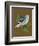 Blue Bird on Copper-Tara Reed-Framed Art Print