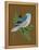 Blue Bird on Copper-Tara Reed-Framed Stretched Canvas