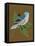 Blue Bird on Copper-Tara Reed-Framed Stretched Canvas