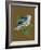 Blue Bird on Copper-Tara Reed-Framed Premium Giclee Print