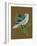 Blue Bird on Copper-Tara Reed-Framed Premium Giclee Print