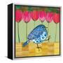 Blue Bird - Tulips-Robbin Rawlings-Framed Stretched Canvas
