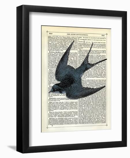 Blue Bird-Marion Mcconaghie-Framed Art Print