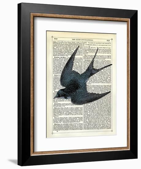 Blue Bird-Marion Mcconaghie-Framed Art Print