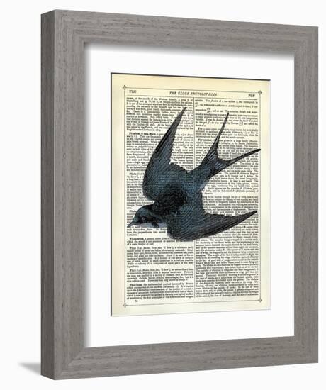 Blue Bird-Marion Mcconaghie-Framed Art Print