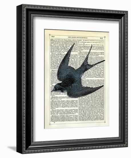 Blue Bird-Marion Mcconaghie-Framed Art Print