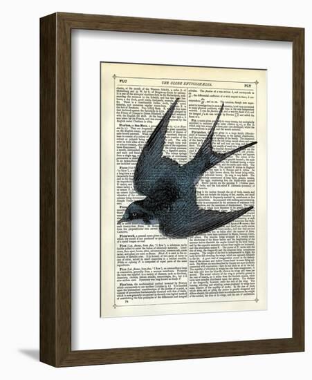 Blue Bird-Marion Mcconaghie-Framed Art Print