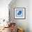 Blue Bird-Elizabeth Medley-Framed Premium Giclee Print displayed on a wall