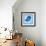 Blue Bird-Elizabeth Medley-Framed Art Print displayed on a wall