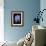 Blue Bird-Little Dean-Framed Photographic Print displayed on a wall