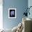 Blue Bird-Little Dean-Framed Photographic Print displayed on a wall