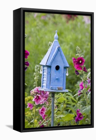Blue Birdhouse Near Hollyhocks. Marion, Illinois, Usa-Richard ans Susan Day-Framed Premier Image Canvas