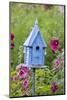 Blue Birdhouse Near Hollyhocks. Marion, Illinois, Usa-Richard ans Susan Day-Mounted Photographic Print