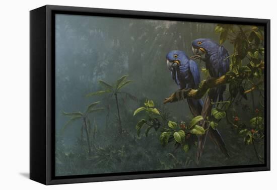 Blue Birds-Michael Jackson-Framed Premier Image Canvas