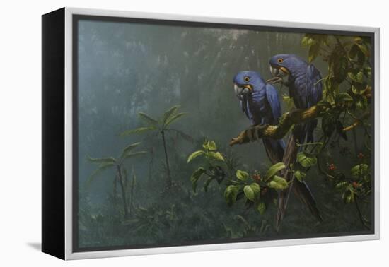 Blue Birds-Michael Jackson-Framed Premier Image Canvas