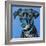 Blue Black Hound-Carolee Vitaletti-Framed Art Print