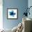 Blue Bloom I-Hannah Carlson-Framed Art Print displayed on a wall