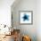 Blue Bloom II-Hannah Carlson-Framed Art Print displayed on a wall