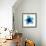 Blue Bloom II-Hannah Carlson-Framed Art Print displayed on a wall