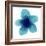 Blue Bloom II-Hannah Carlson-Framed Art Print