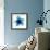 Blue Bloom II-Hannah Carlson-Framed Art Print displayed on a wall