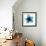 Blue Bloom II-Hannah Carlson-Framed Art Print displayed on a wall