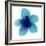 Blue Bloom II-Hannah Carlson-Framed Art Print