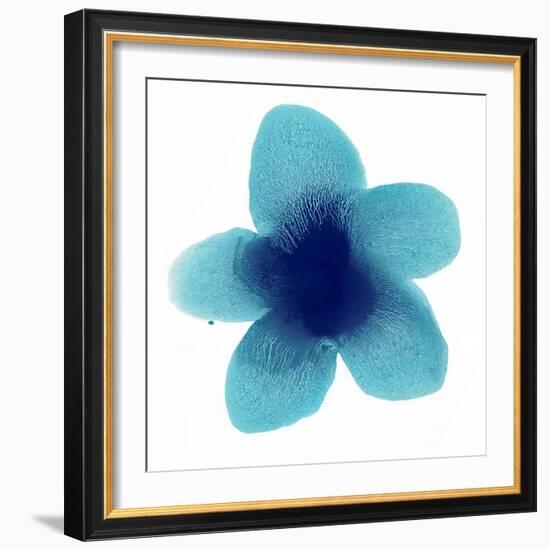 Blue Bloom II-Hannah Carlson-Framed Art Print