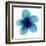 Blue Bloom II-Hannah Carlson-Framed Art Print