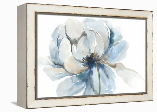 Blue Blub Flower-Asia Jensen-Framed Stretched Canvas