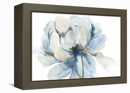 Blue Blub Flower-Asia Jensen-Framed Stretched Canvas