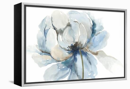 Blue Blub Flower-Asia Jensen-Framed Stretched Canvas