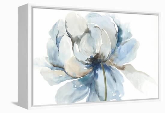 Blue Blub Flower-Asia Jensen-Framed Stretched Canvas