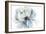 Blue Blub Flower-Asia Jensen-Framed Art Print