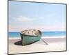 Blue Boat on Beach-Zhen-Huan Lu-Mounted Art Print