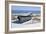 Blue Boat on Beach-Zhen-Huan Lu-Framed Giclee Print