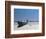 Blue Boat-Zhen-Huan Lu-Framed Giclee Print