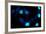 Blue Bokeh II-Erin Berzel-Framed Photographic Print