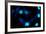 Blue Bokeh II-Erin Berzel-Framed Photographic Print