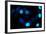 Blue Bokeh II-Erin Berzel-Framed Photographic Print