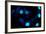 Blue Bokeh II-Erin Berzel-Framed Photographic Print