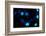 Blue Bokeh II-Erin Berzel-Framed Photographic Print