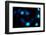 Blue Bokeh II-Erin Berzel-Framed Photographic Print