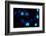 Blue Bokeh II-Erin Berzel-Framed Photographic Print