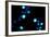 Blue Bokeh III-Erin Berzel-Framed Photographic Print