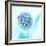 Blue Bombshell-Jacob Berghoef-Framed Photographic Print