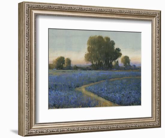 Blue Bonnet Field I-Tim O'toole-Framed Art Print