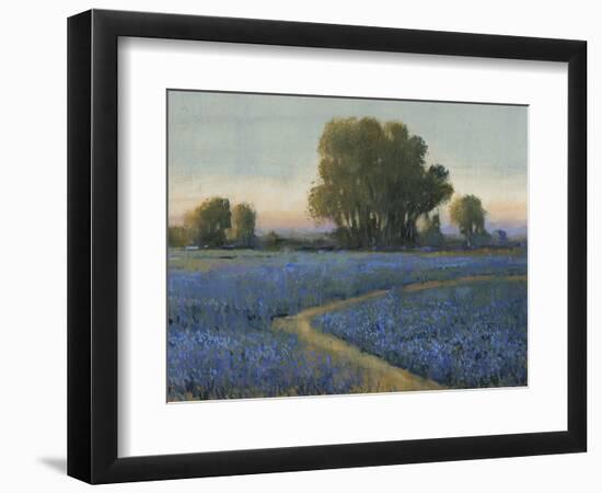 Blue Bonnet Field I-Tim O'toole-Framed Art Print