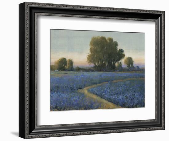 Blue Bonnet Field I-Tim O'toole-Framed Art Print